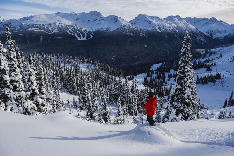 Exceptional Whistler Offers
