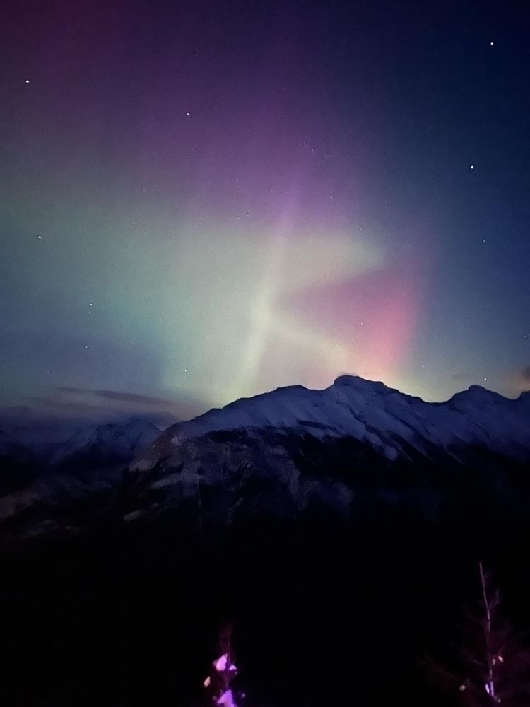 WhatsApp Image 2025 03 22 at 12.14.28