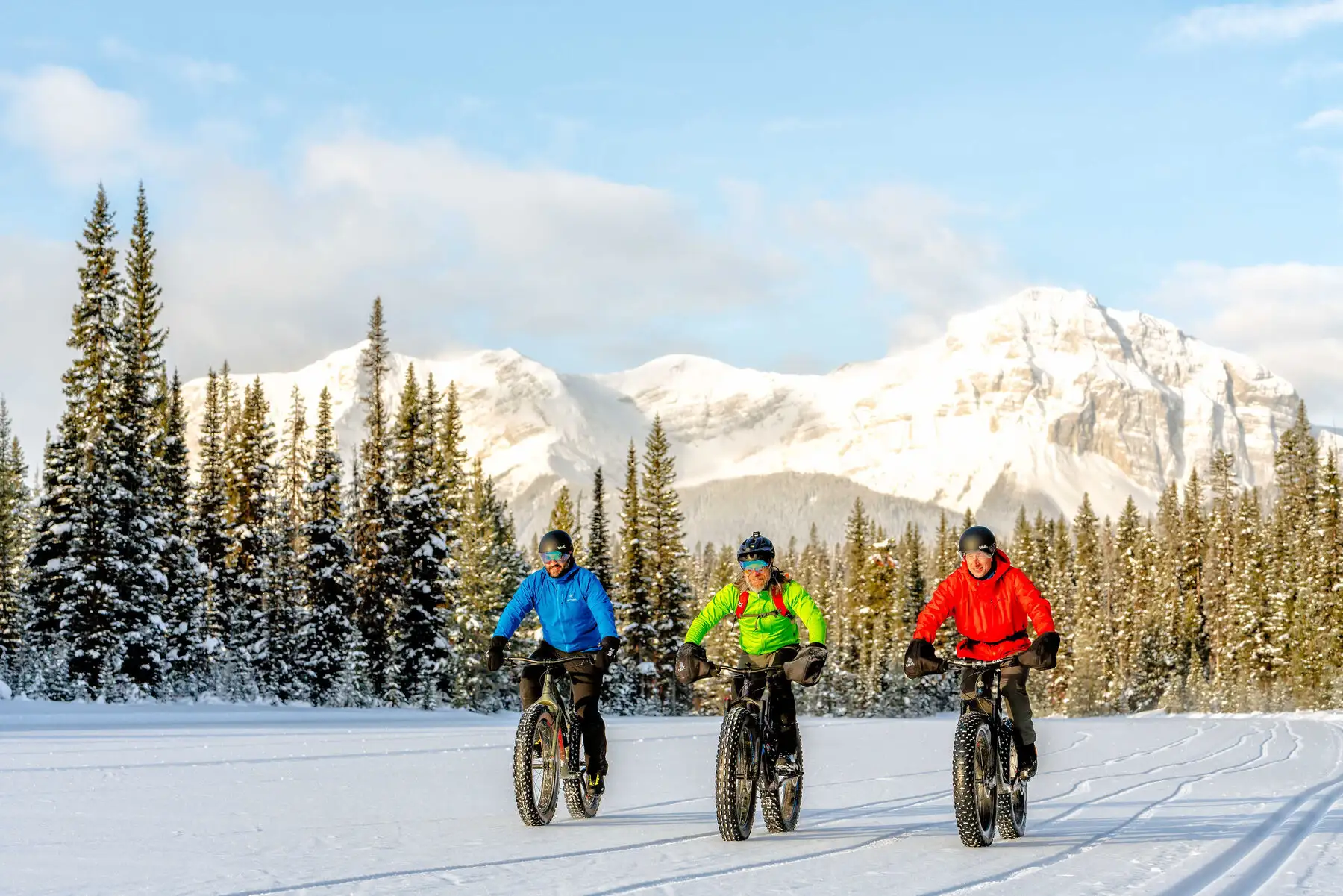 Cycling 101 / Karl Lee