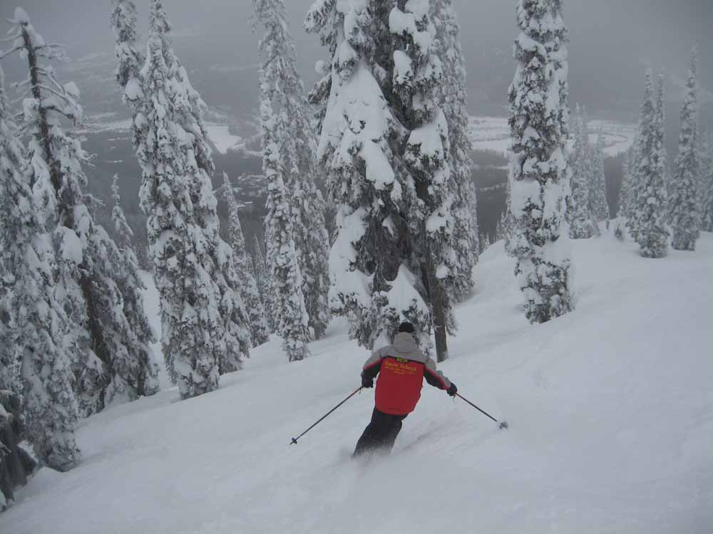 Daily Mail Ski & Snowboard Magazine Reader Holiday Fernie's trees are calling