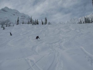 Powering through powder in Fernie