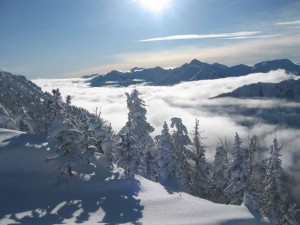 Fresh pow at Kicking Horse