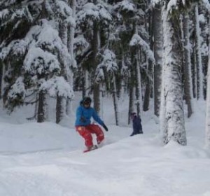 Whistler Alpine Excellent conditions in Whistler