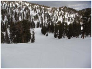 First Tracks