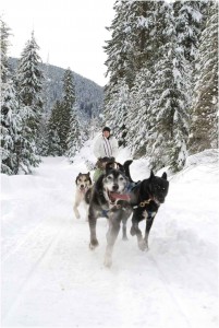 DogSled