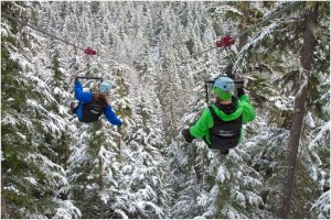 ZipTrek