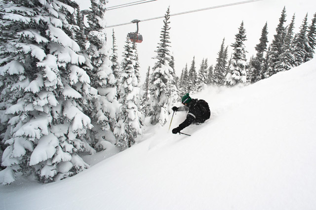 Feb16_LS07_sm Photo Credit: Logan Swayze www.coastphoto.com