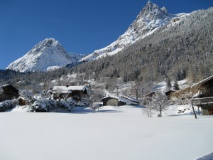 IMG_0006