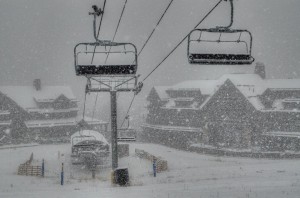 Breck
