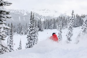Jon Champion Coastphotos Whistler