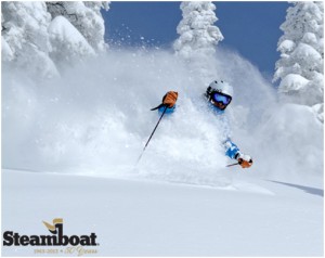 Powder powder