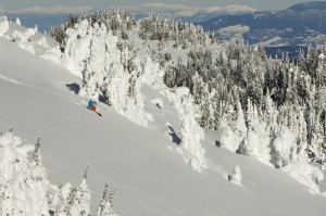 Snow school programmes in Sun Peaks