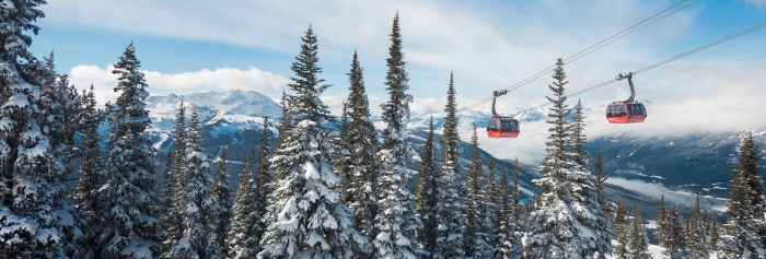 Whistler Guide for iPad