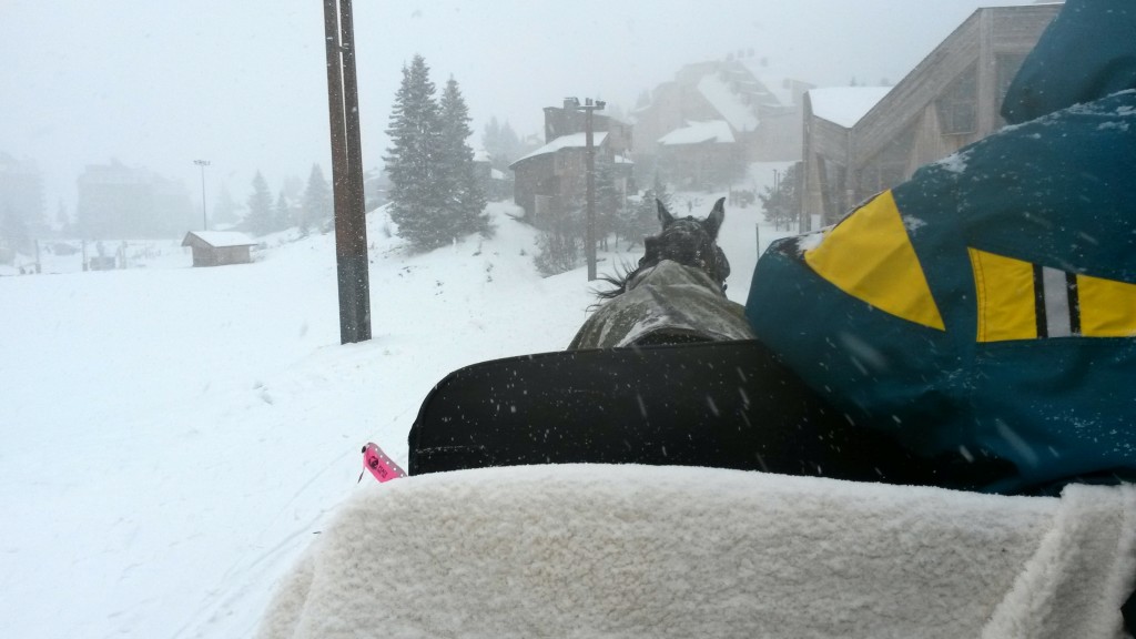 Insiders guide to Avoriaz and Hotel des Dromonts