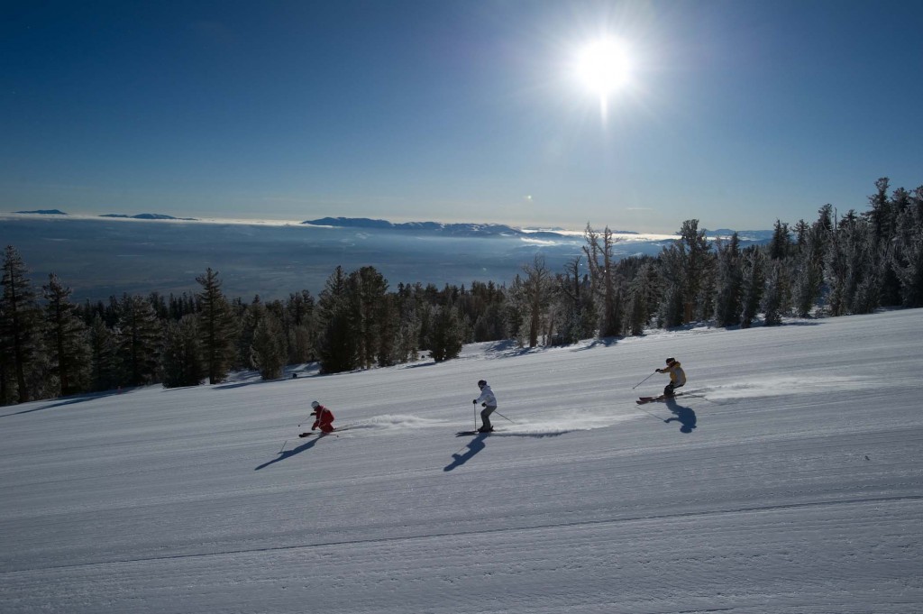 Heavenly Groomer