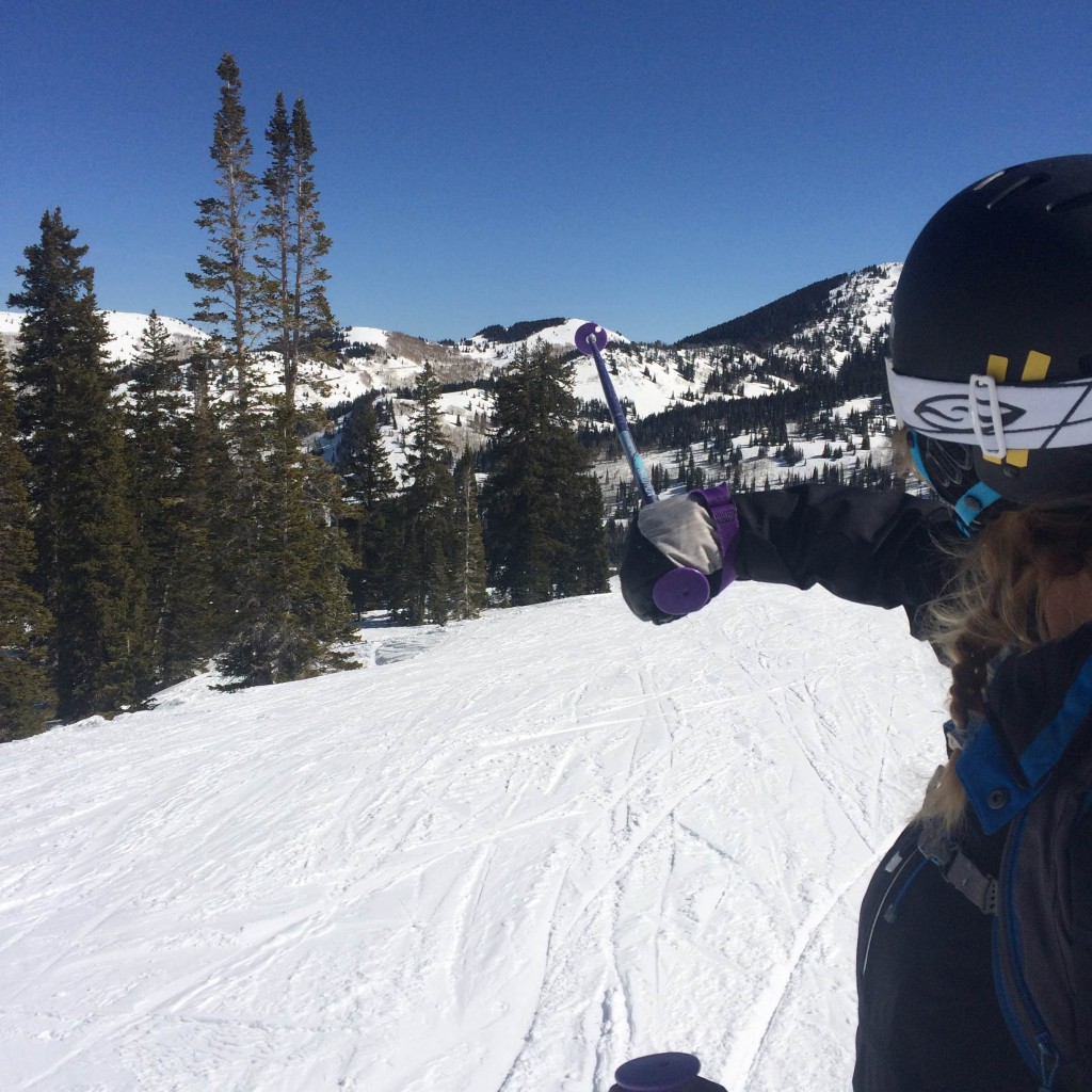 Ski Utah Interconnect