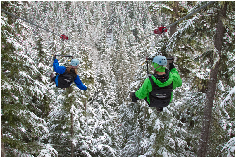 ZipTrek