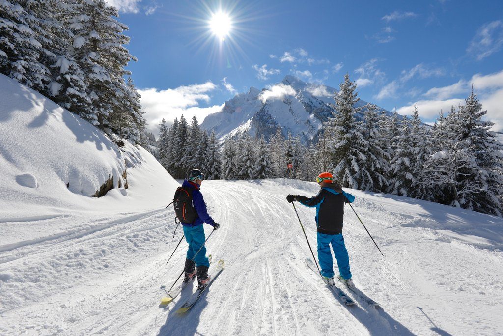 ski extras service