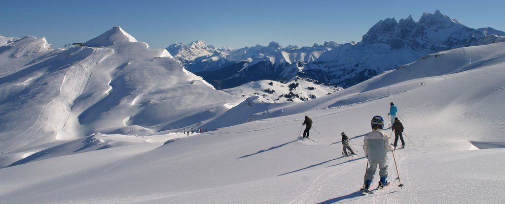 ski extras service