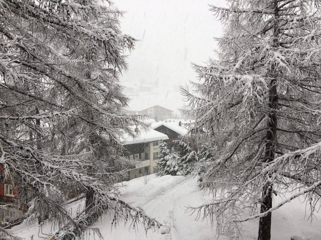 amazing start to the winter